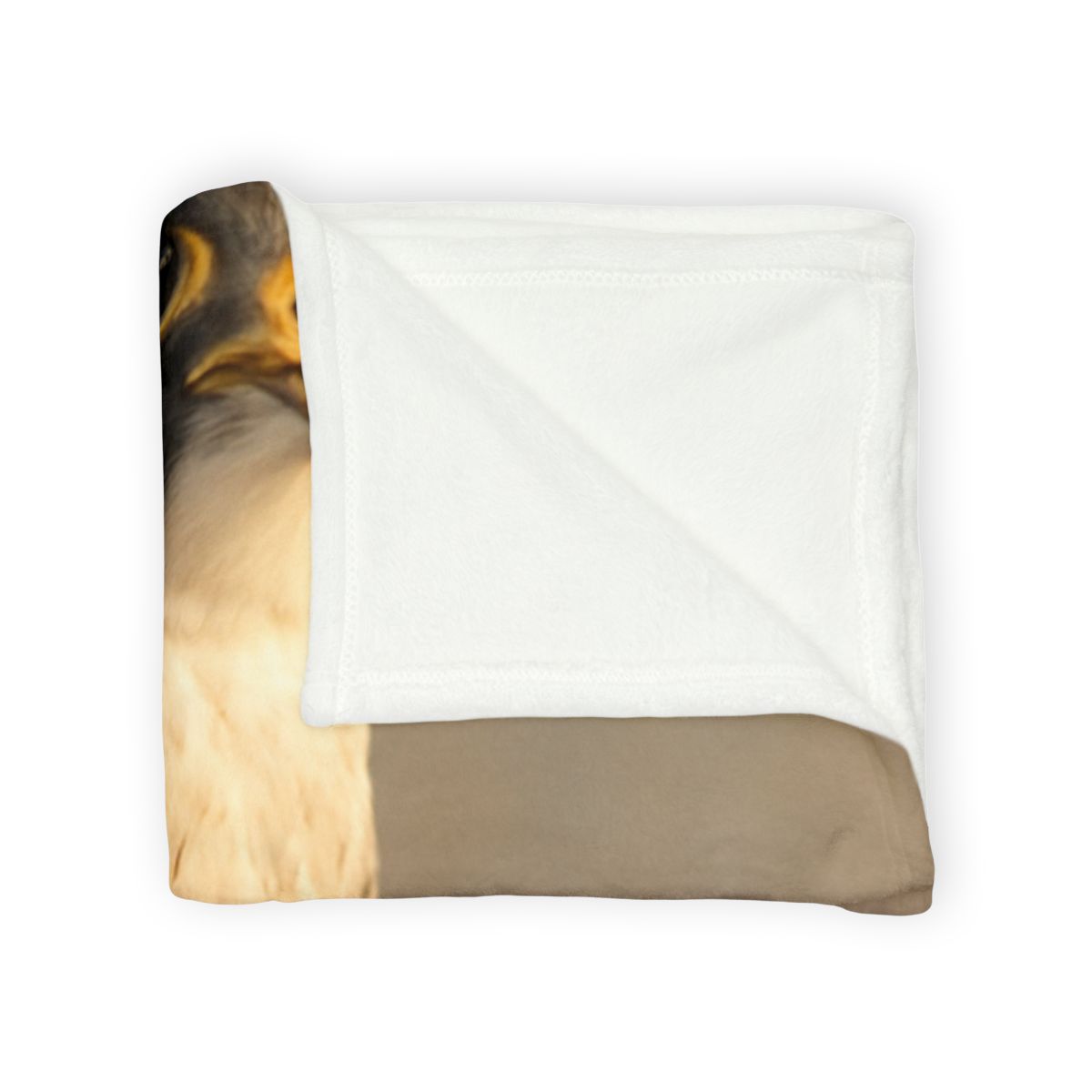 Silver Dusk Peregrine Falcon custom blankets