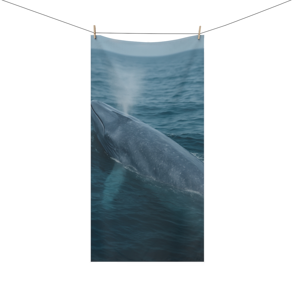 Ocean Song Blue Whale stylish beach towels