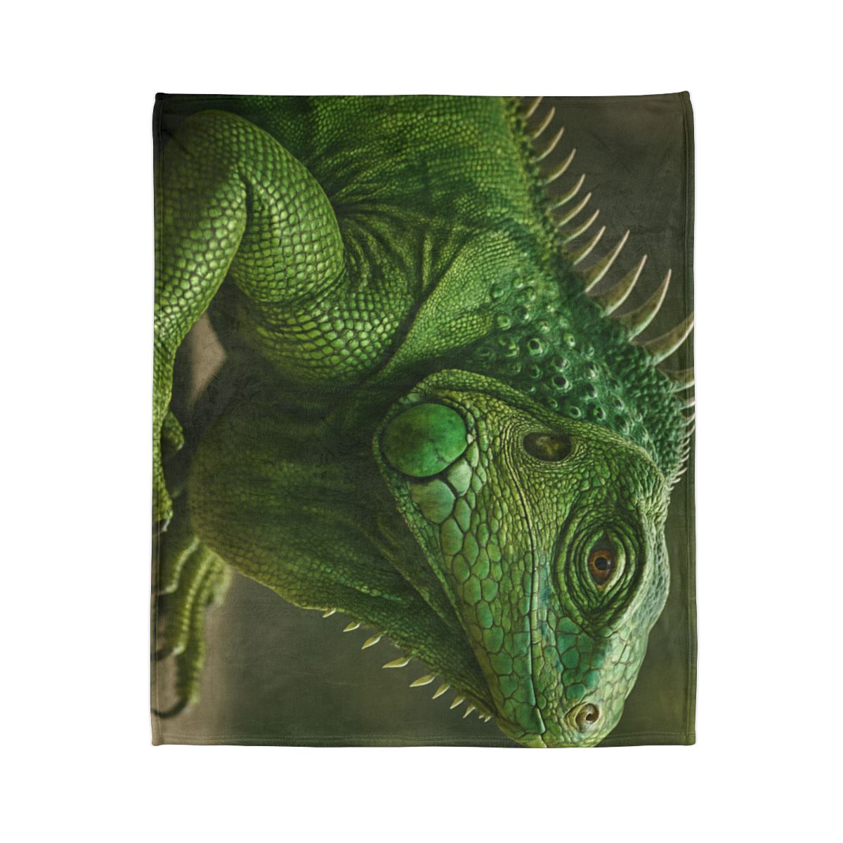 Stone Quiet Green Iguana personalized cozy blankets