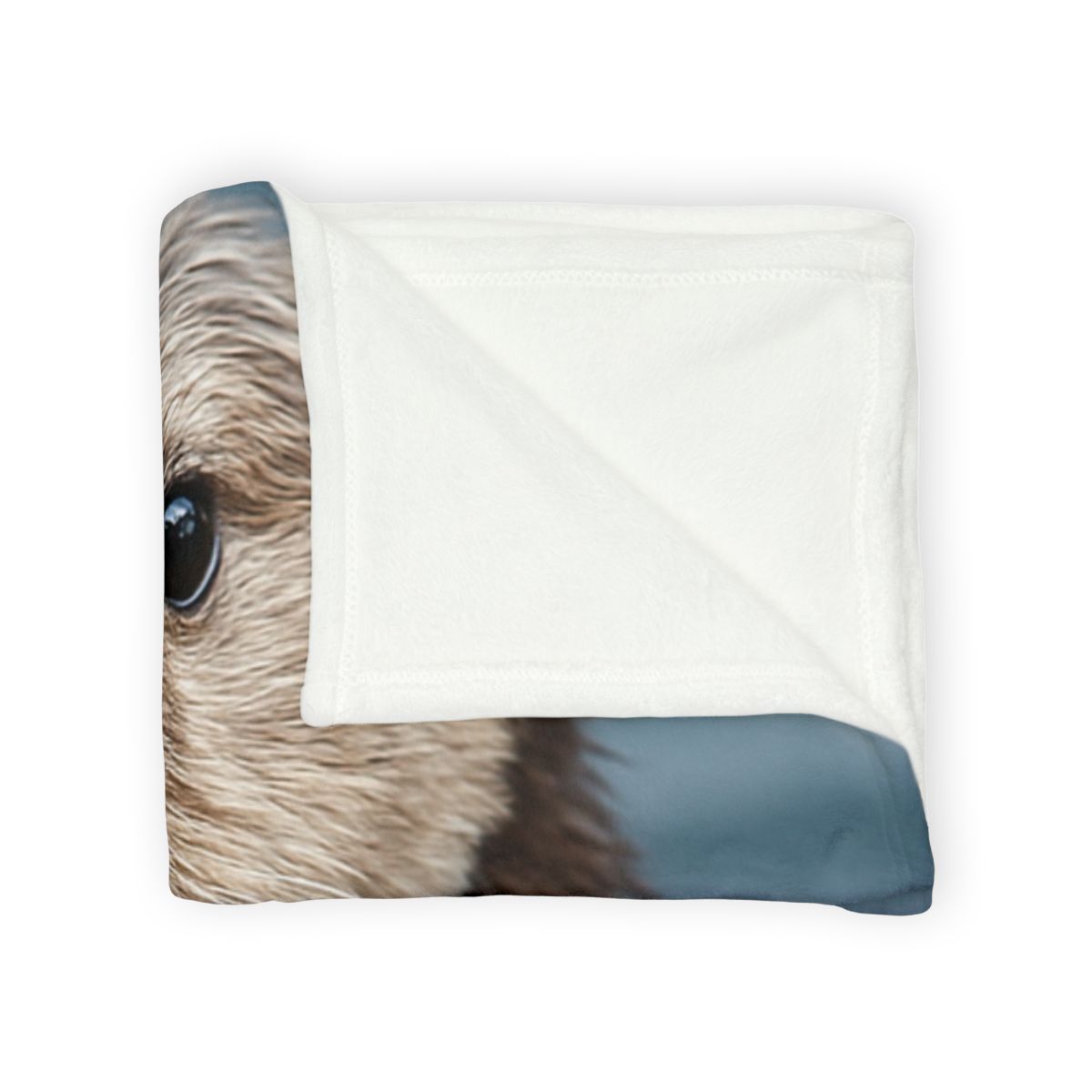 Mirror Drift Sea Otter decorative home blankets