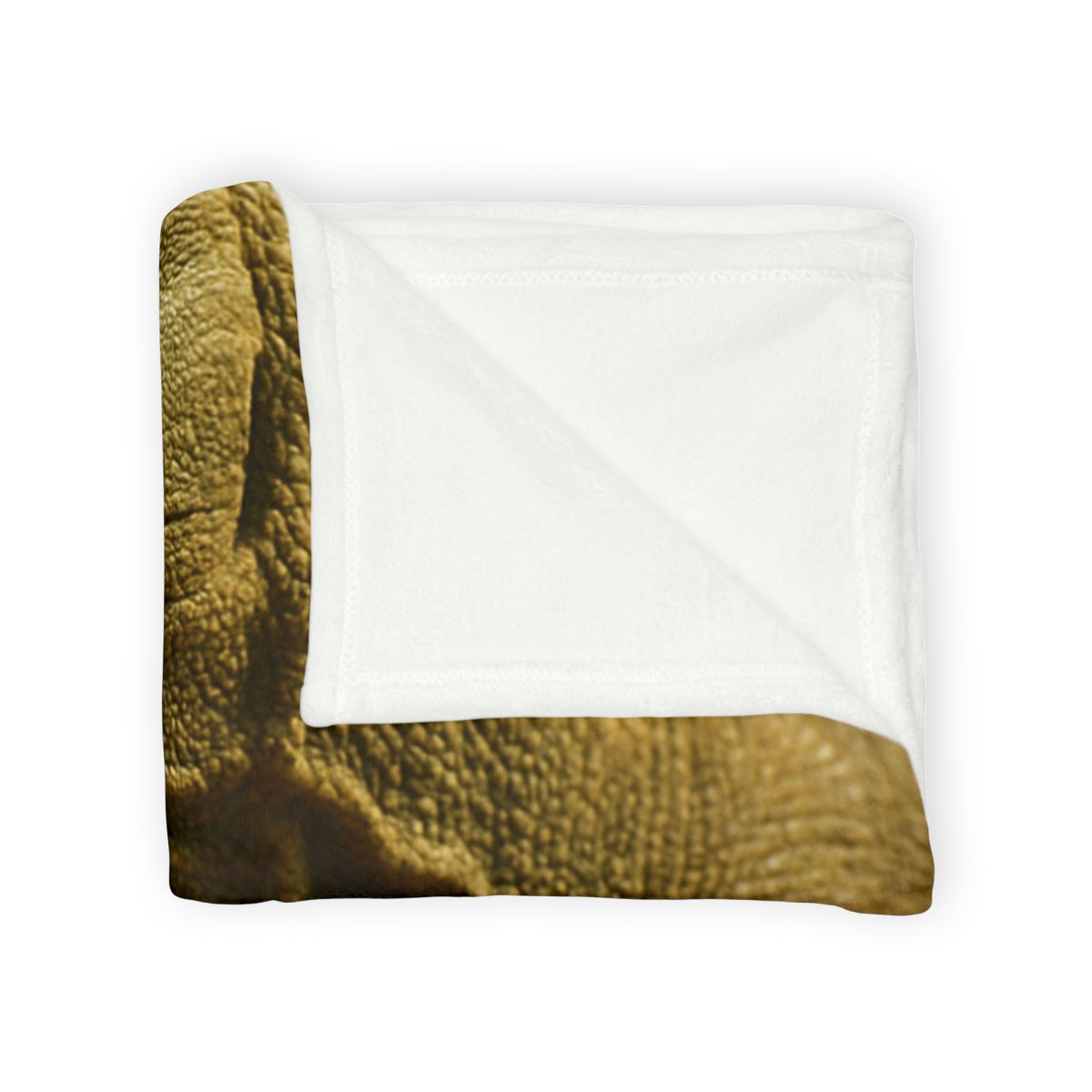 Ancient Sentinel Komodo Dragon decorative home blankets