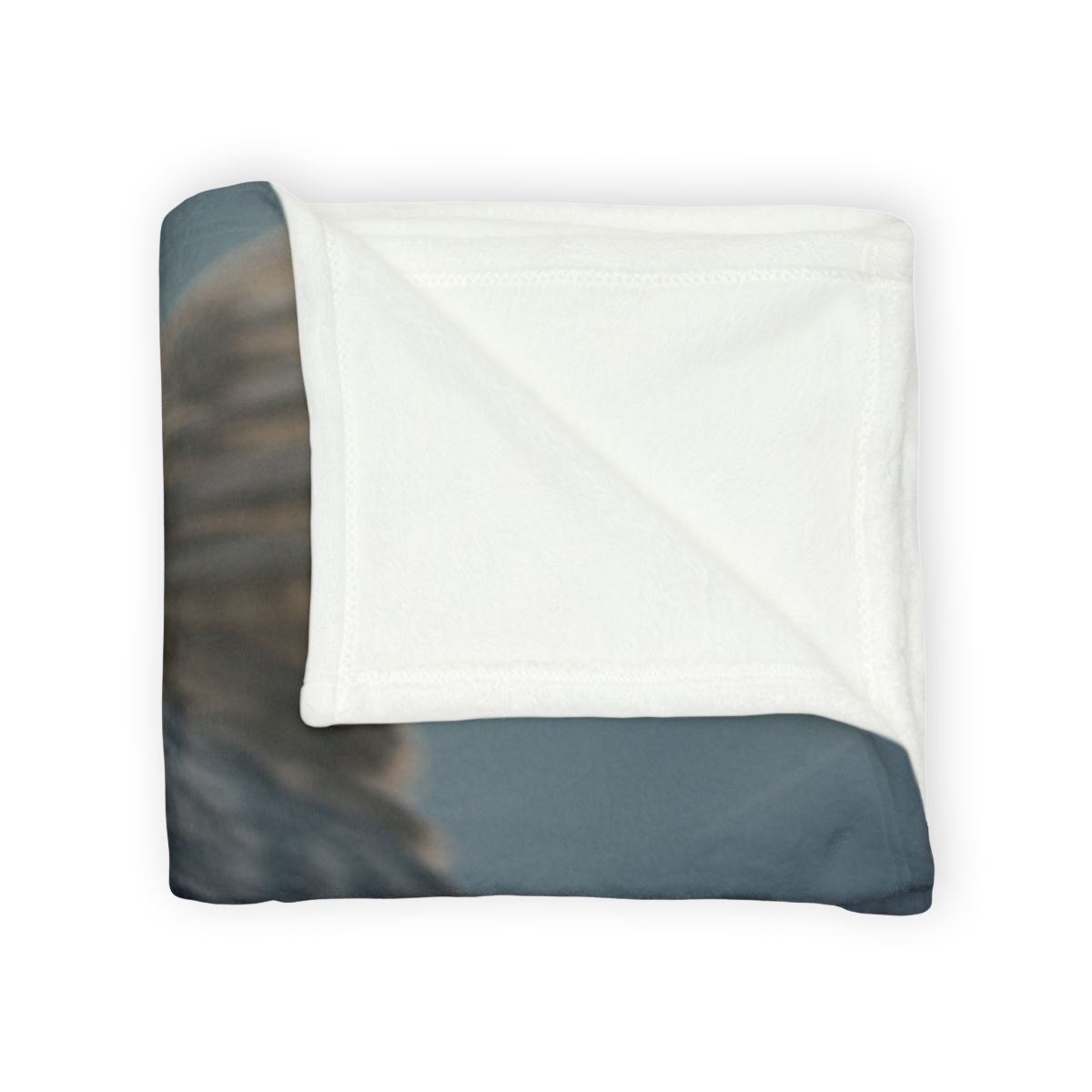 Comet Dive Peregrine Falcon personalized cozy blankets