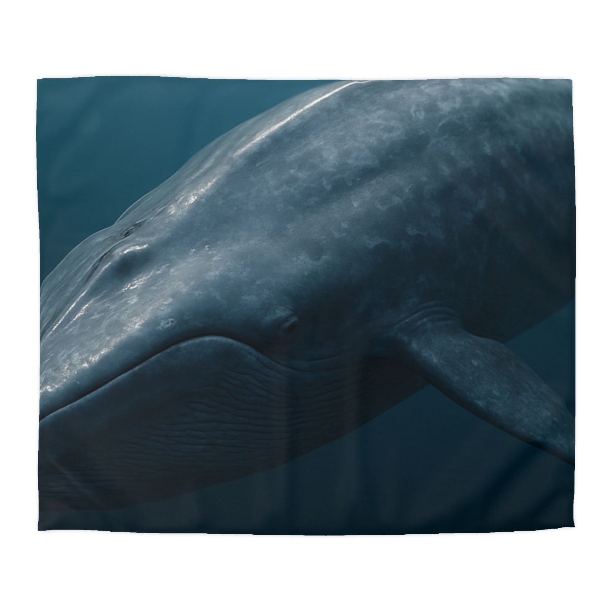 Silent Giant Blue Whale soft comforter duvets