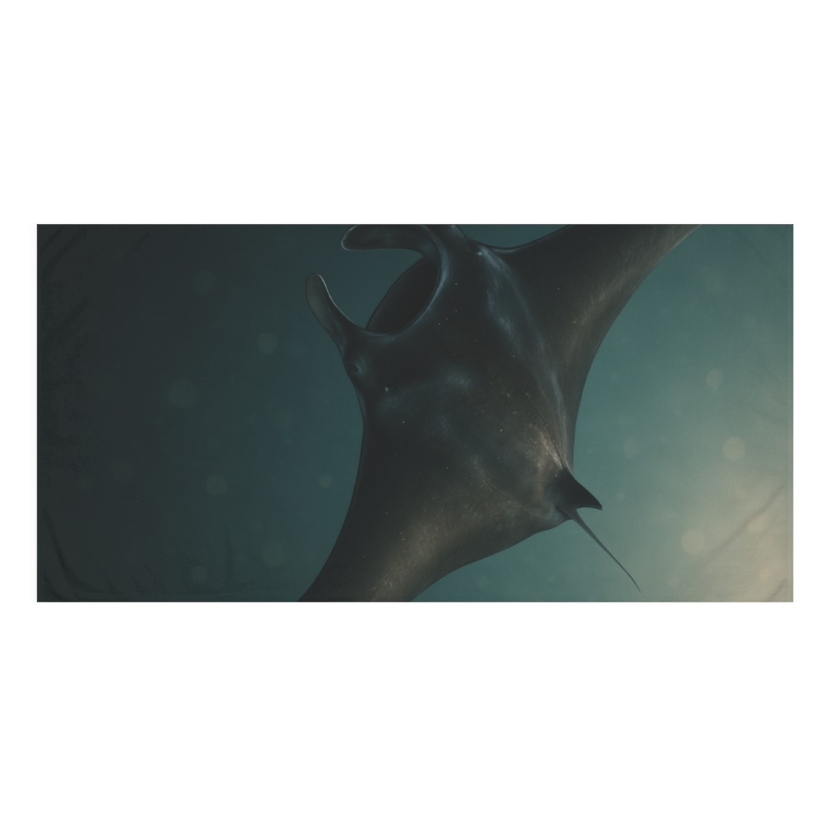 Starlit Drift Manta Ray stylish beach towels