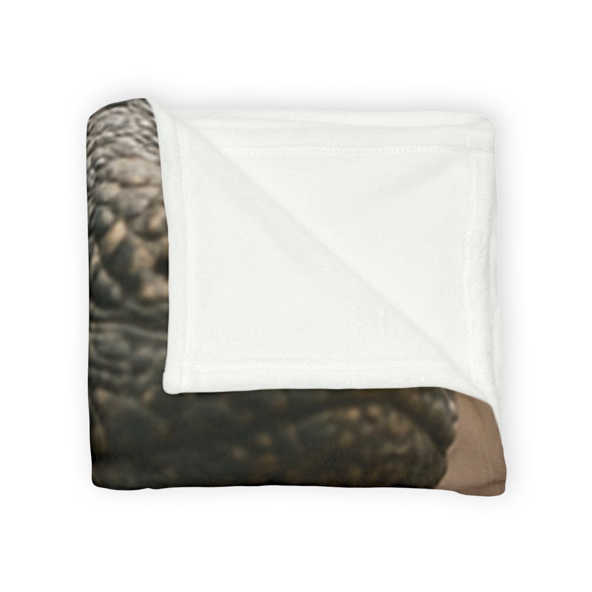 Ancient Sentinel Komodo Dragon soft fleece blankets