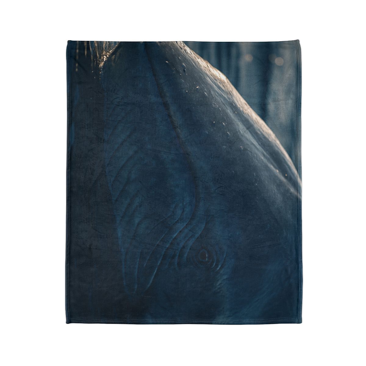 Ocean Song Blue Whale designer printed blankets