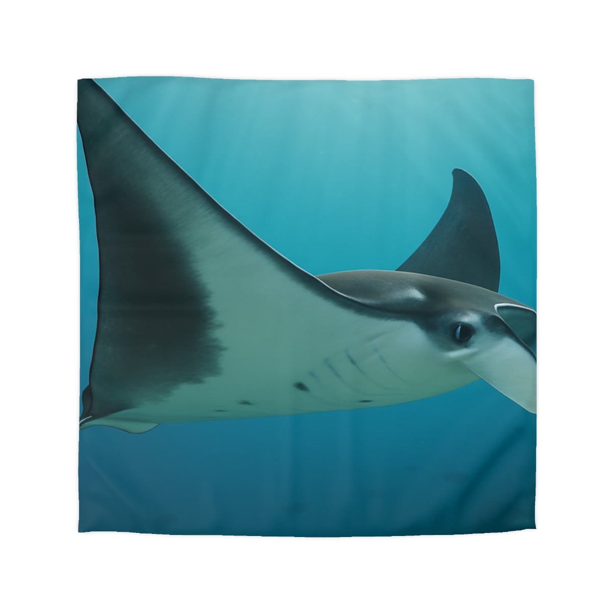 Tidal Wings Reef Manta Ray trendy bedroom duvets
