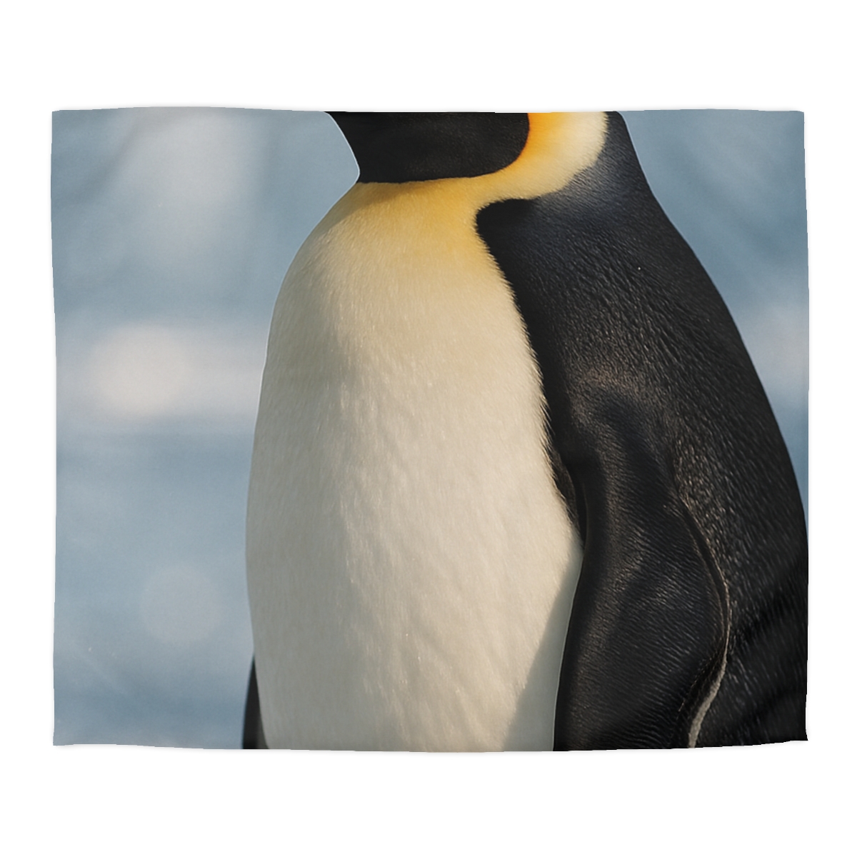 Aurora Drift Emperor Penguin stylish duvet covers