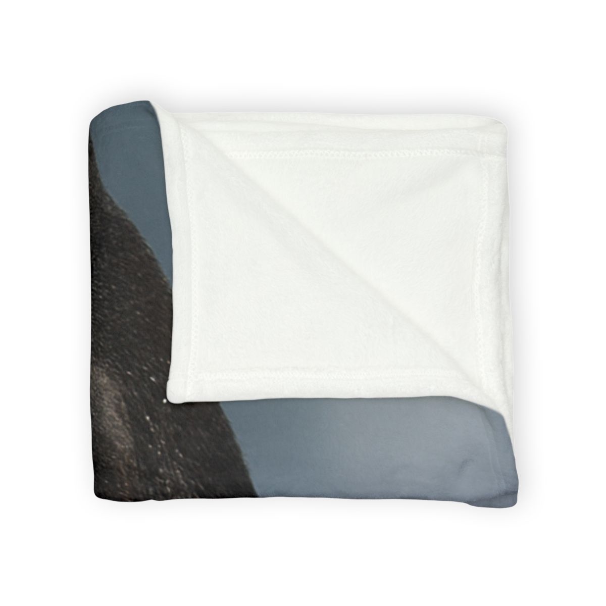 Aurora Drift Emperor Penguin trendy patterned blankets