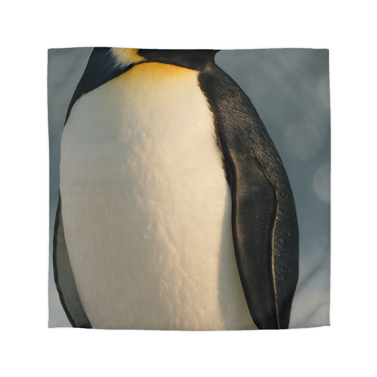 Velvet Eclipse Emperor Penguin trendy bedroom duvets