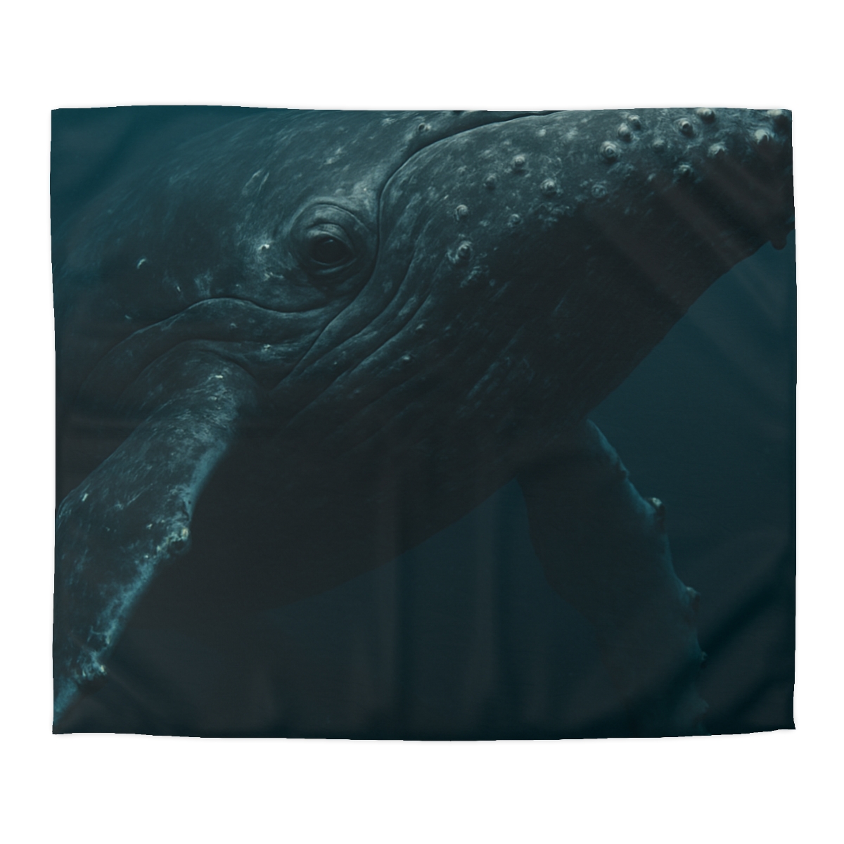 Deep Current Humpback Whale trendy bedroom duvets
