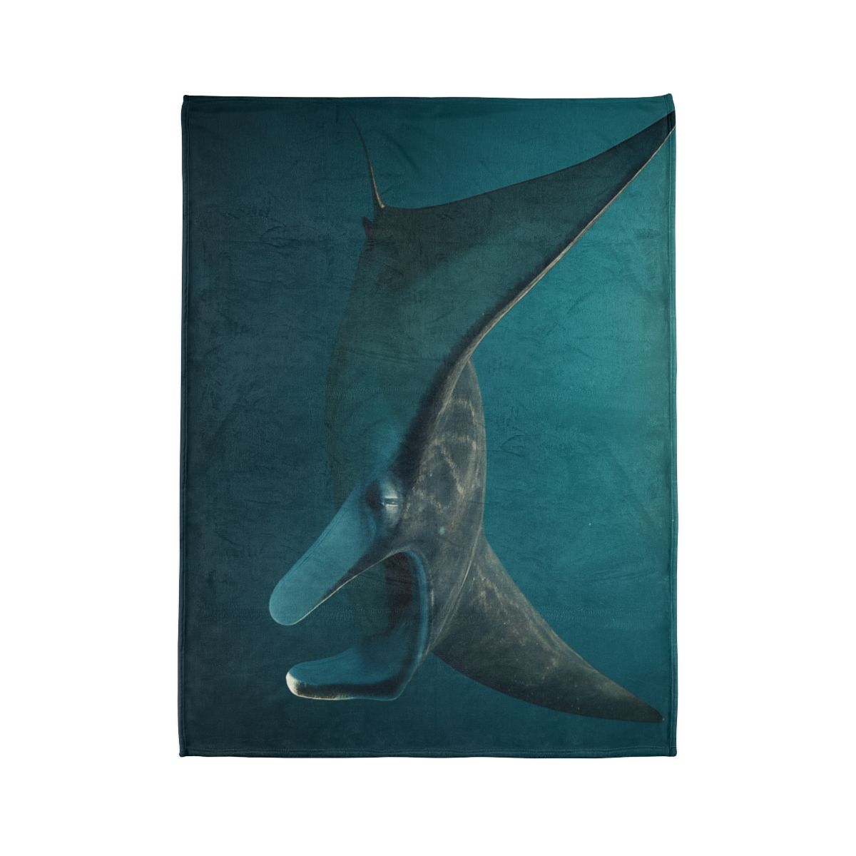 Starlit Drift Manta Ray warm winter blankets