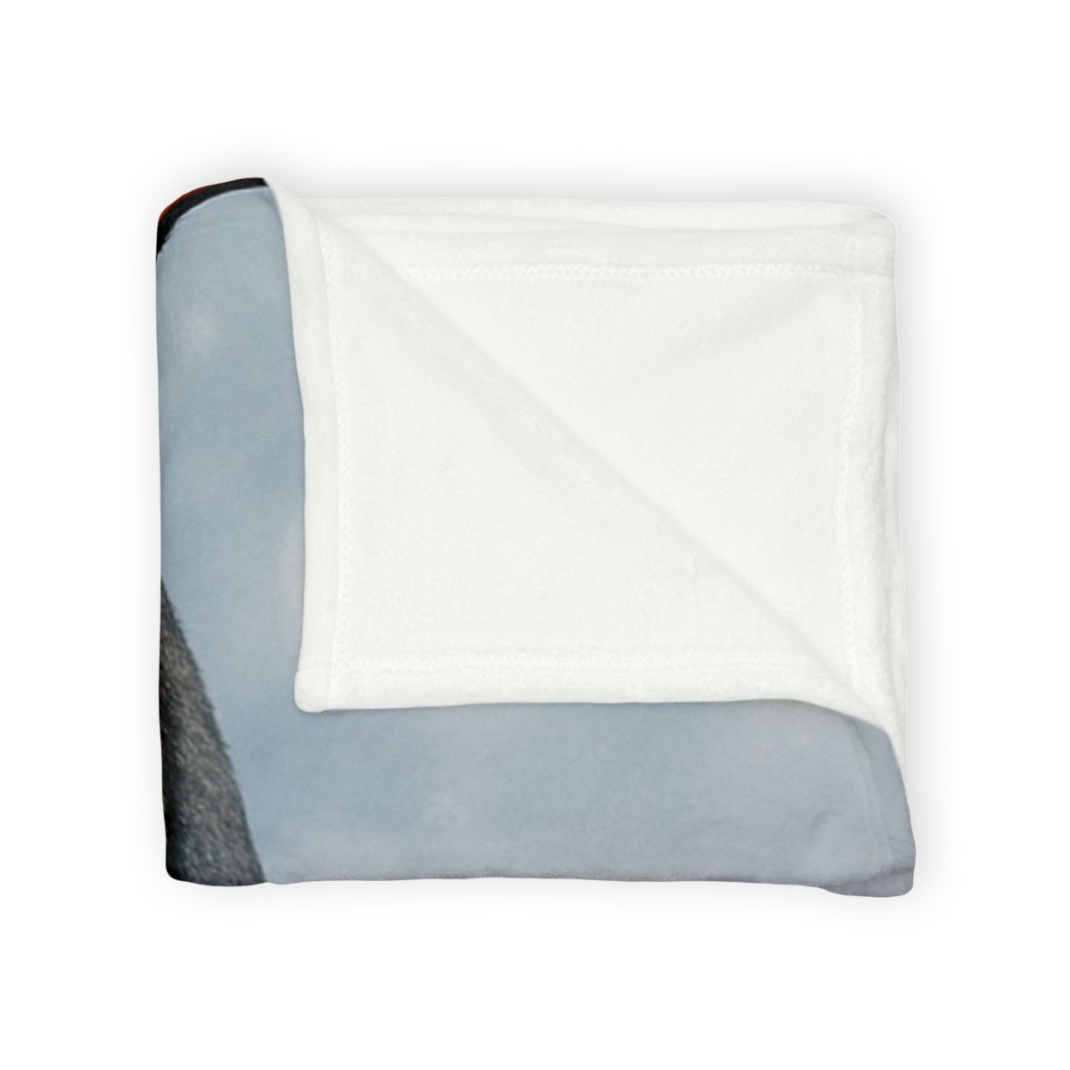 Frost Halo Emperor Penguin warm winter blankets