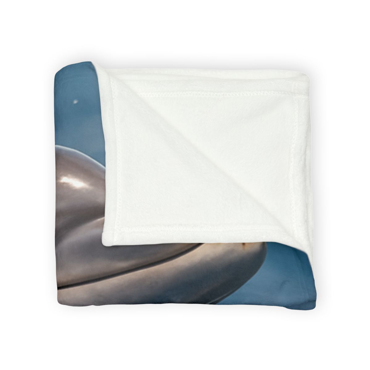 Mirrorflash Common Bottlenose Dolphin decorative home blankets