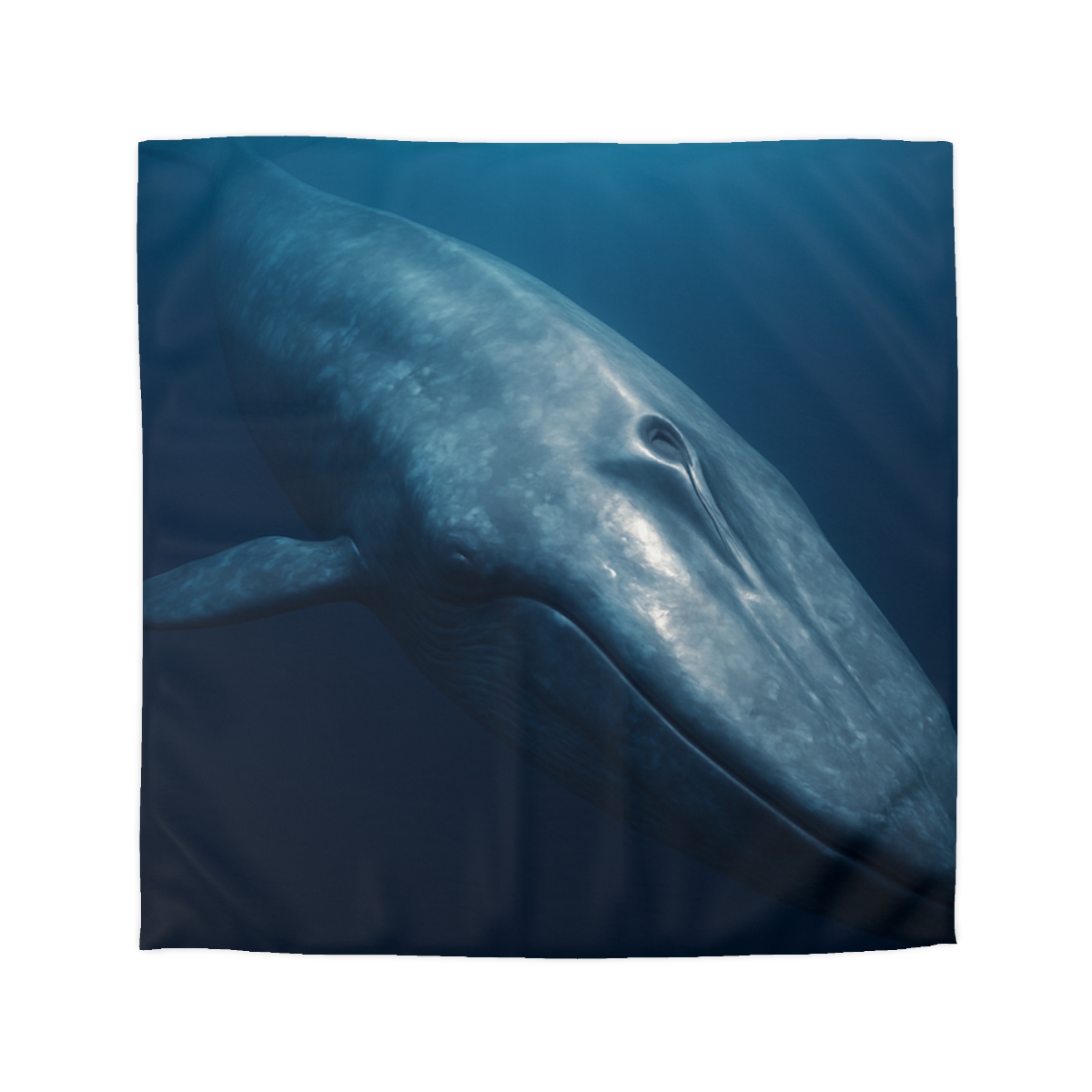 Ocean Song Blue Whale stylish duvet covers