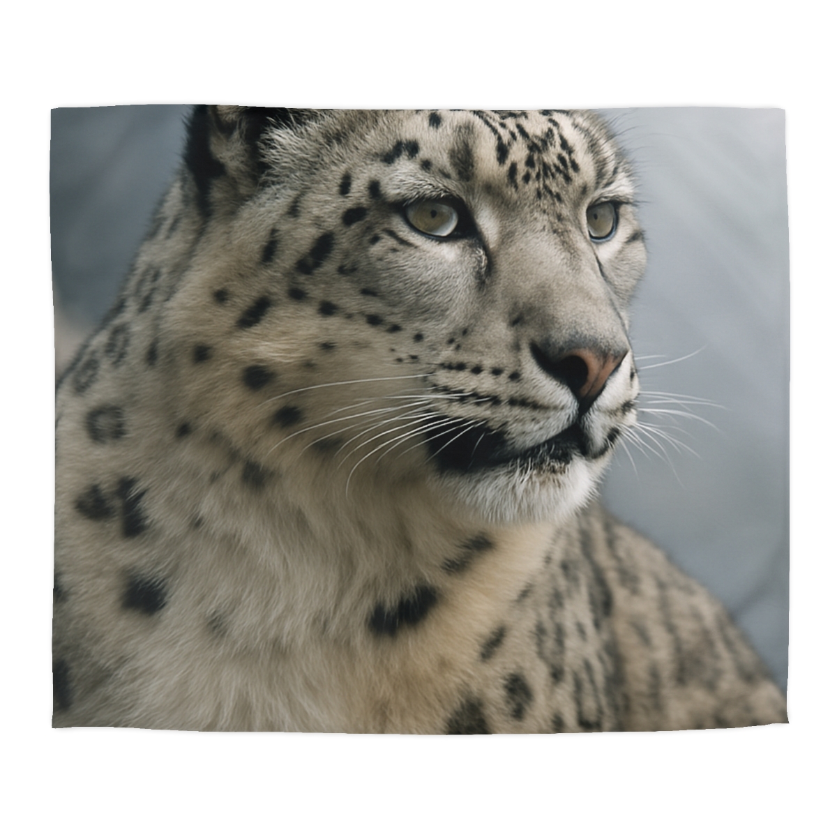 Mountain Whisper Snow Leopard warm winter duvets