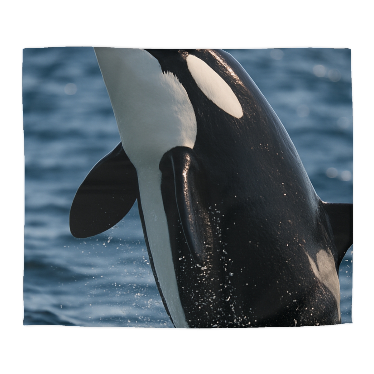 Tidal Monarch Orca warm winter duvets