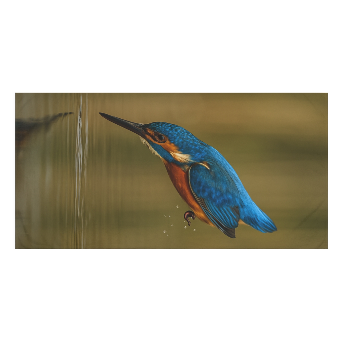 Prism Dive Common Kingfisher comfortable face towels