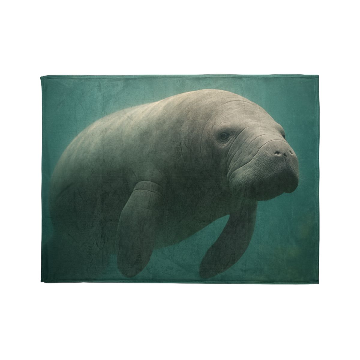 Dawn Drift Manatee soft fleece blankets