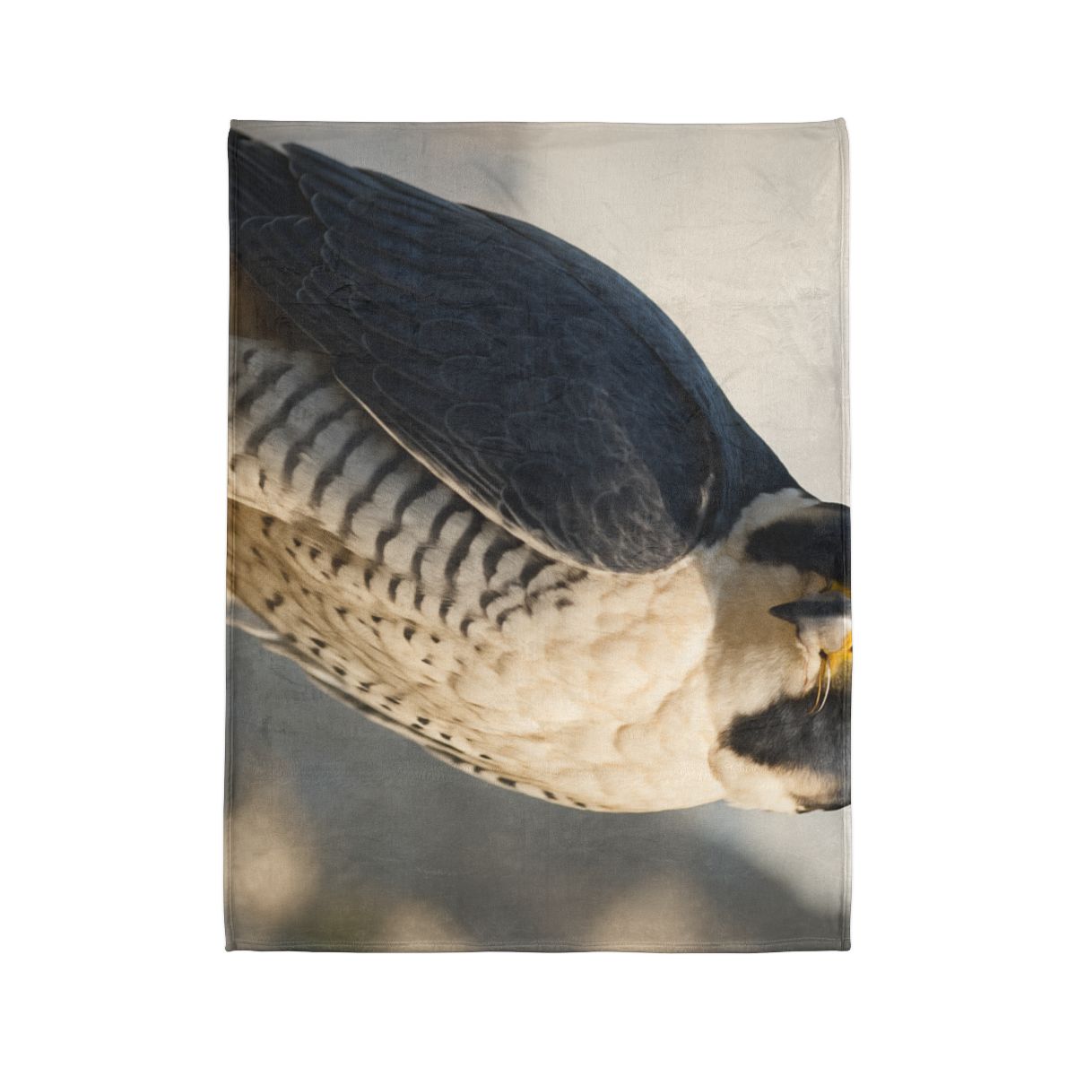 Velocity Gaze Peregrine Falcon decorative home blankets