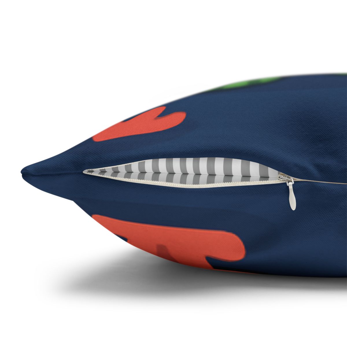 Comet Classroom Turtle personalized pillow covers