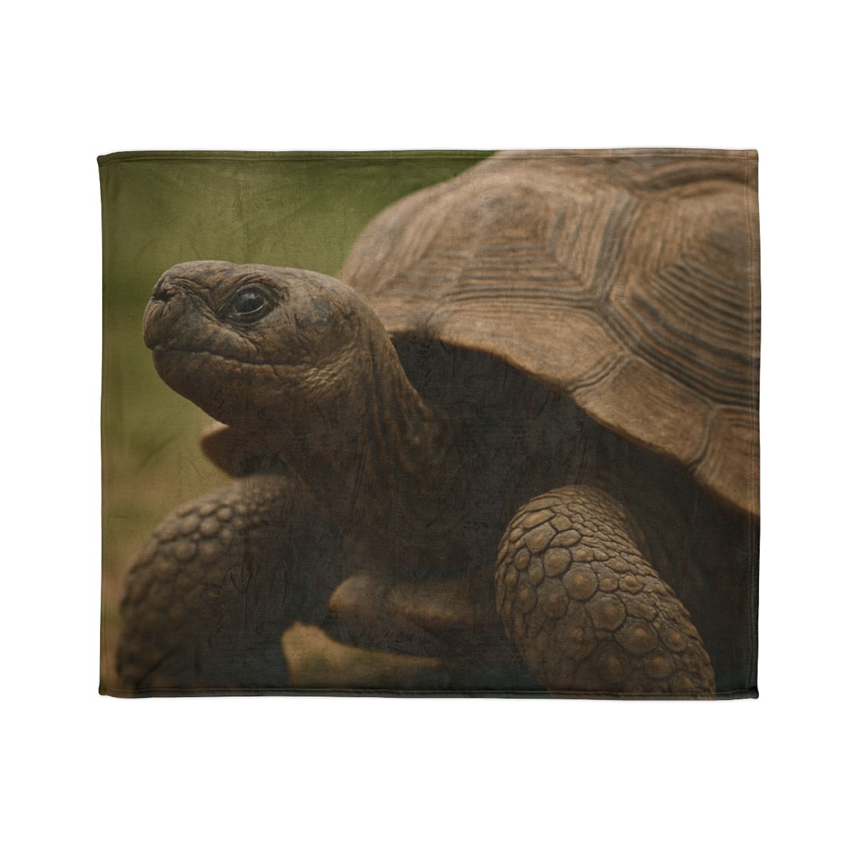 Giant Tortoise Timebound Gaze personalized cozy blankets