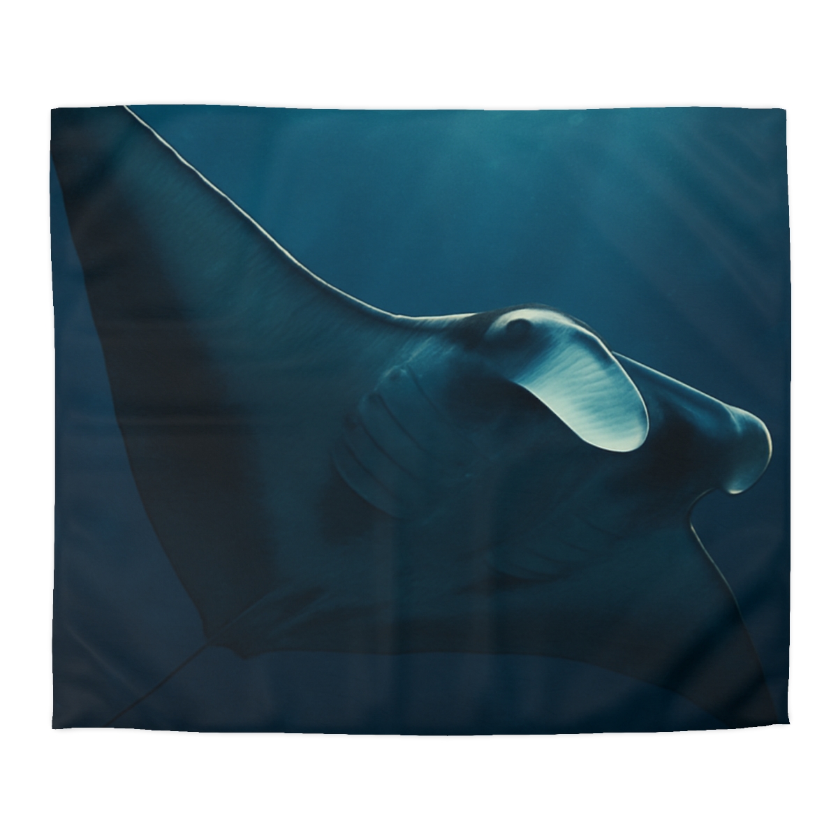 Starlit Glide Manta Ray stylish duvet covers