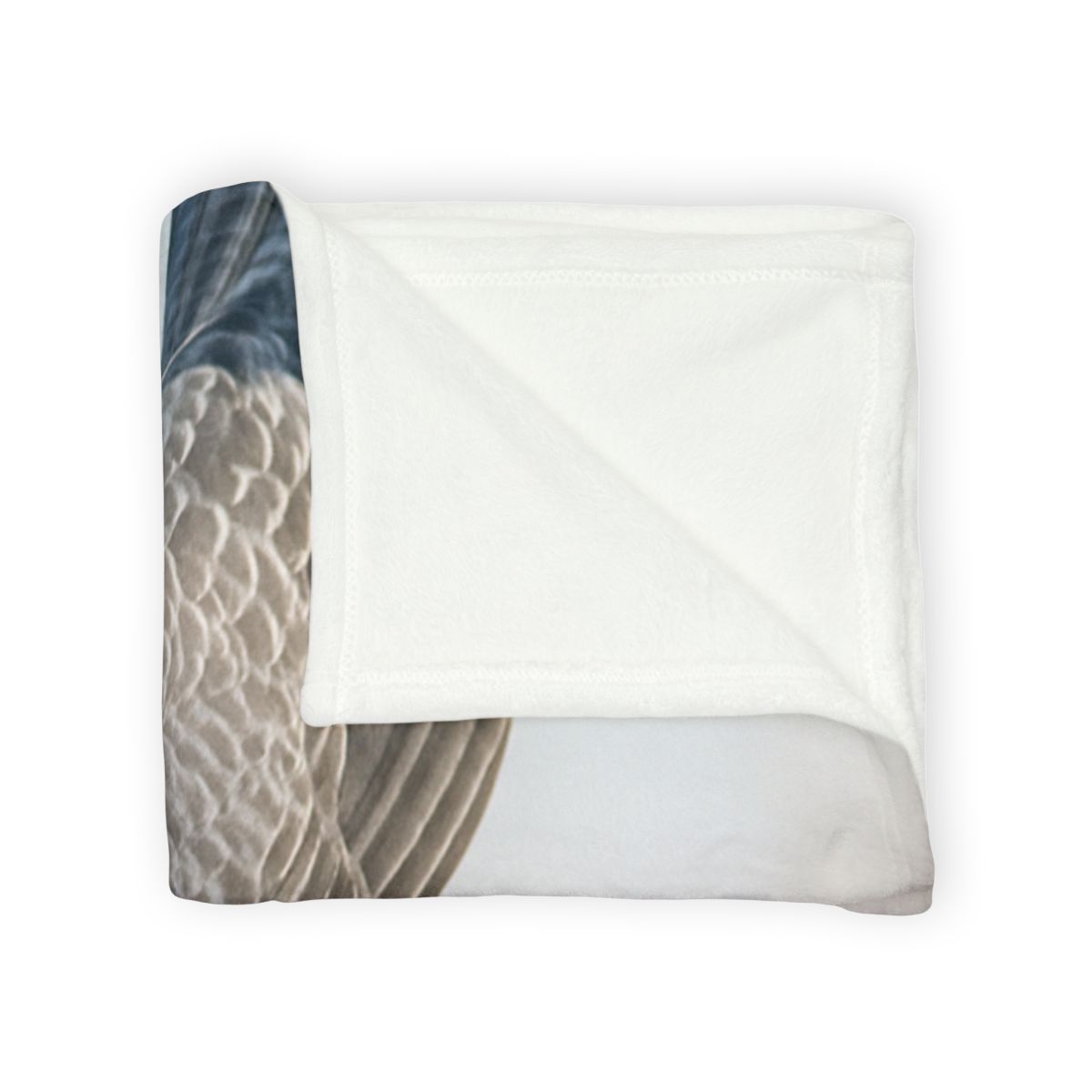 Comet Dive Peregrine Falcon soft fleece blankets