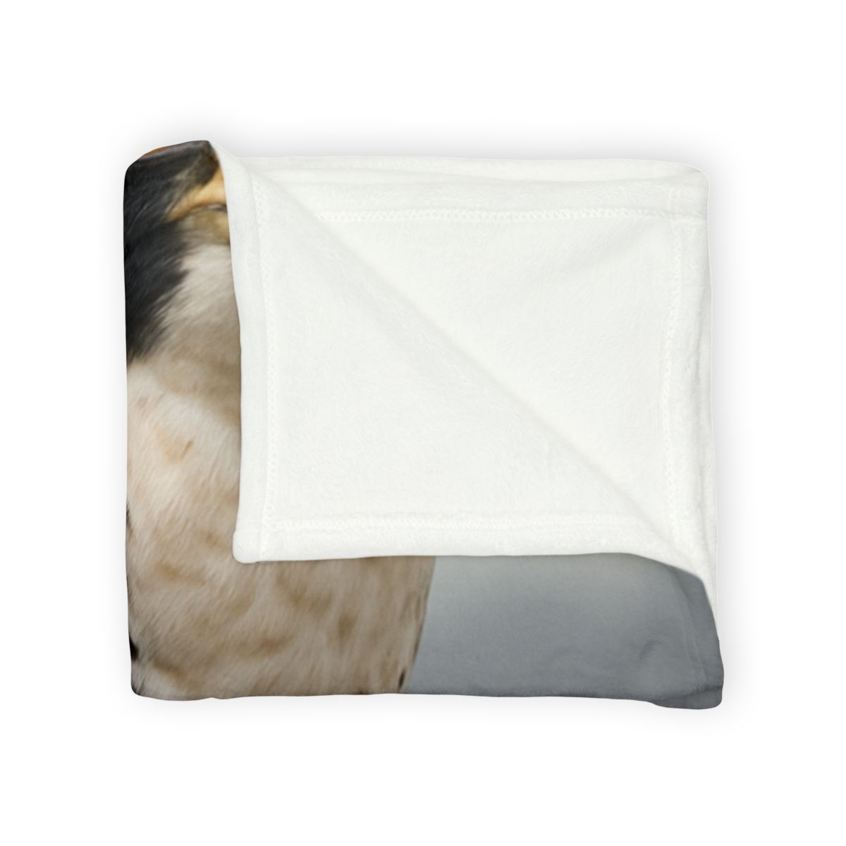 Starlit Focus Peregrine Falcon soft fleece blankets