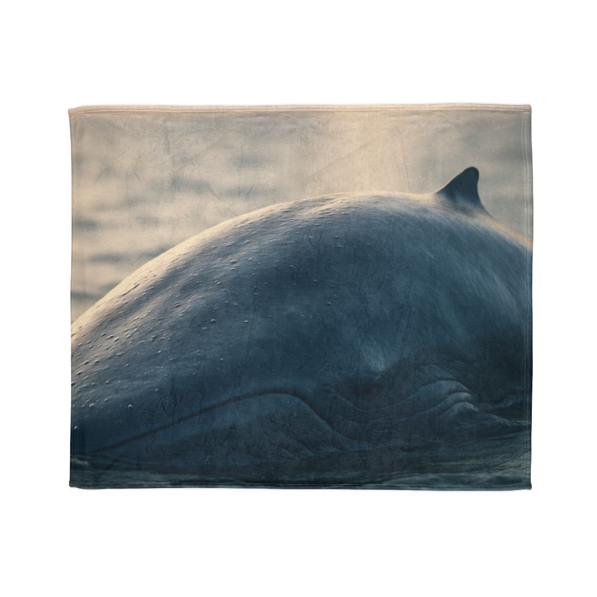 Deep Song Blue Whale designer printed blankets