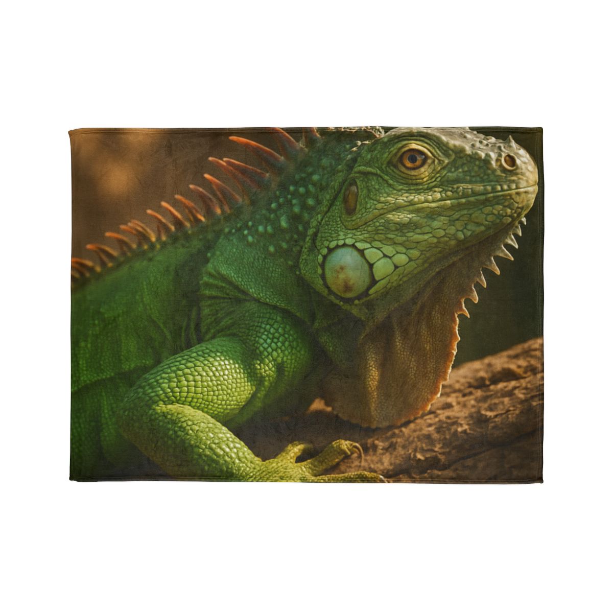Sunlit Perch Green Iguana warm winter blankets