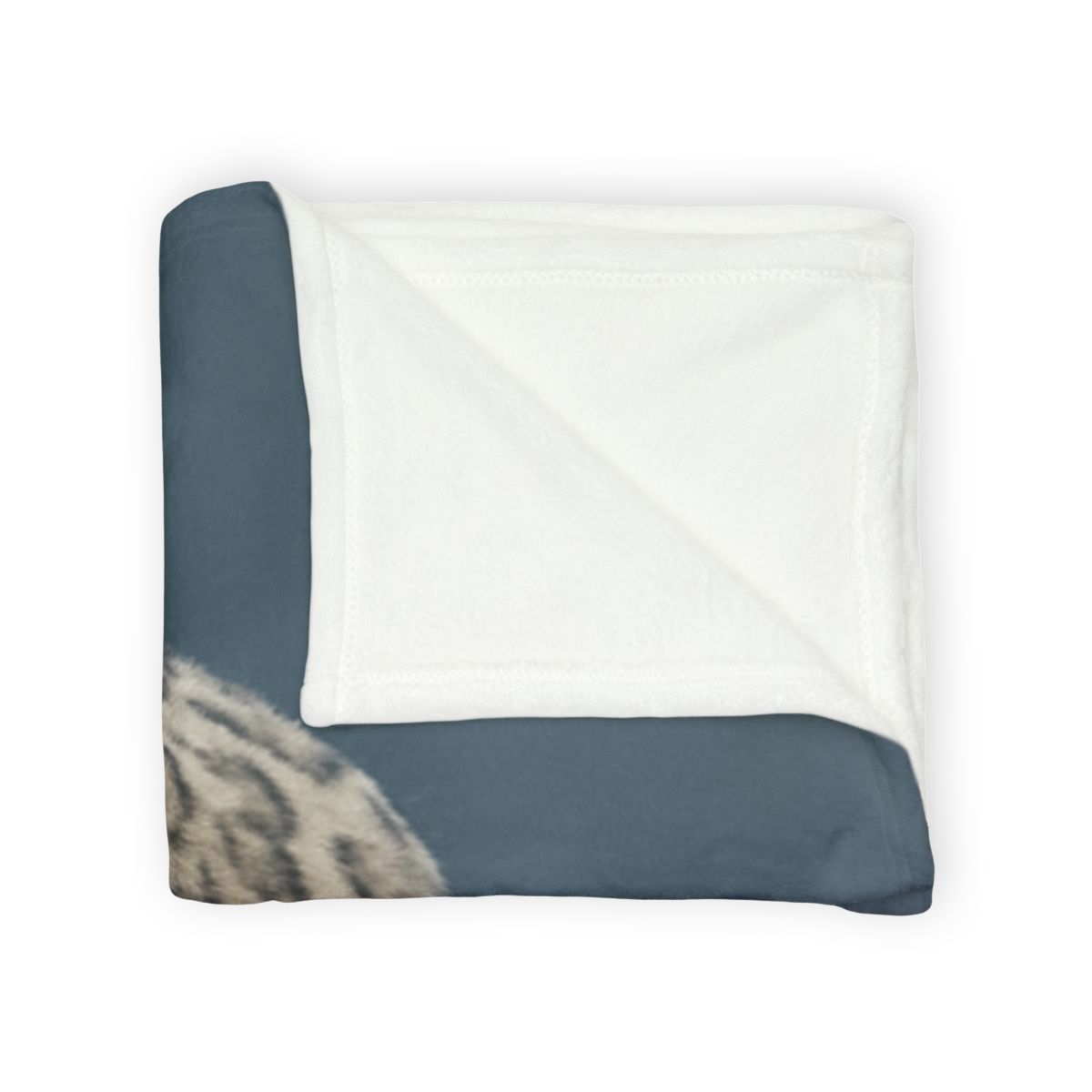Aurora Gaze Snow Leopard trendy patterned blankets