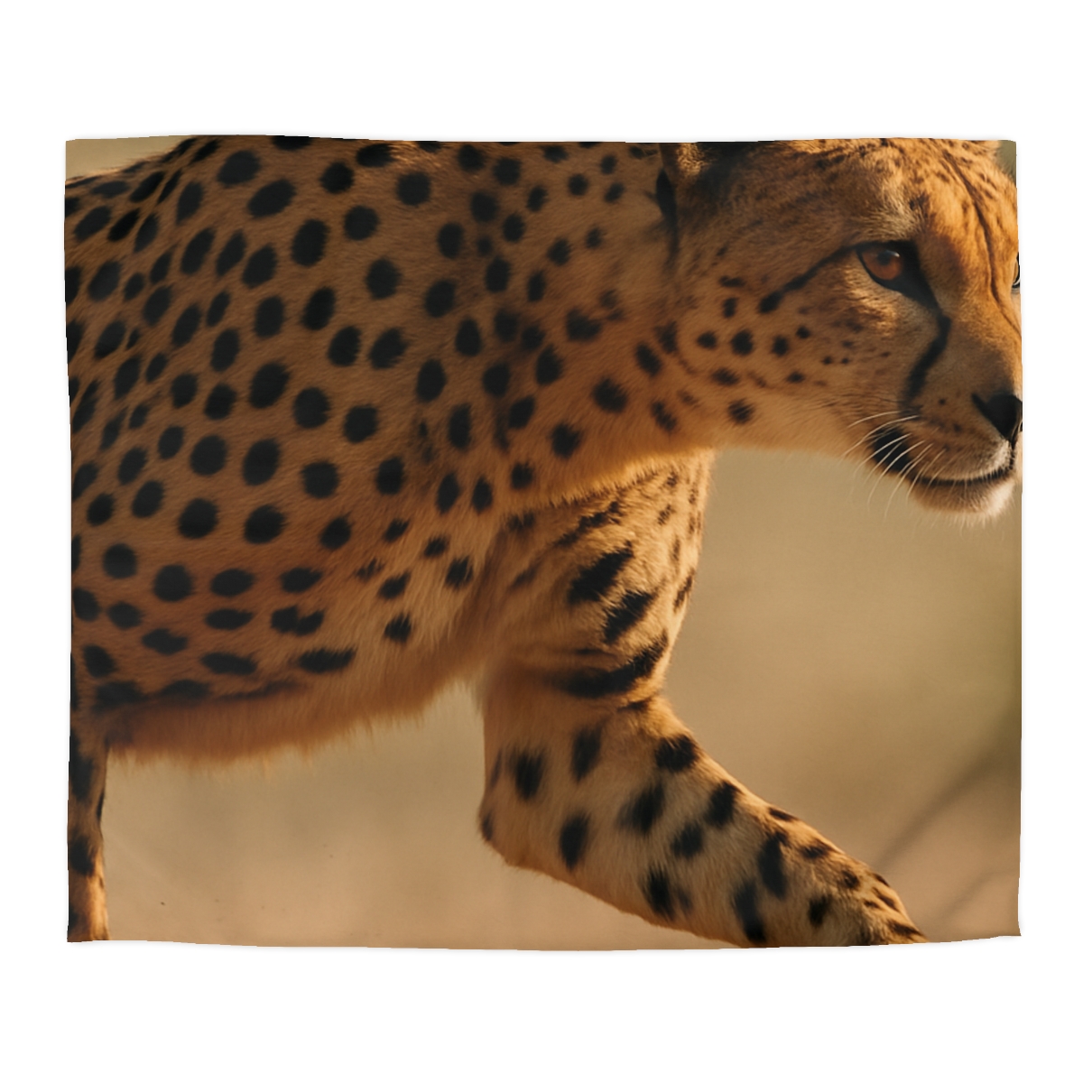 Wind Runner Cheetah stylish duvet covers