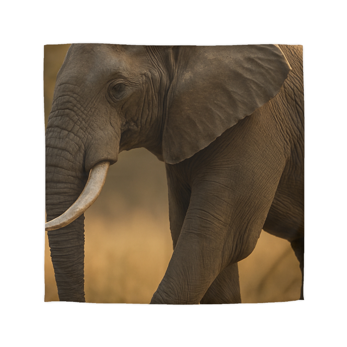 Savannah Sentinel Elephant soft comforter duvets