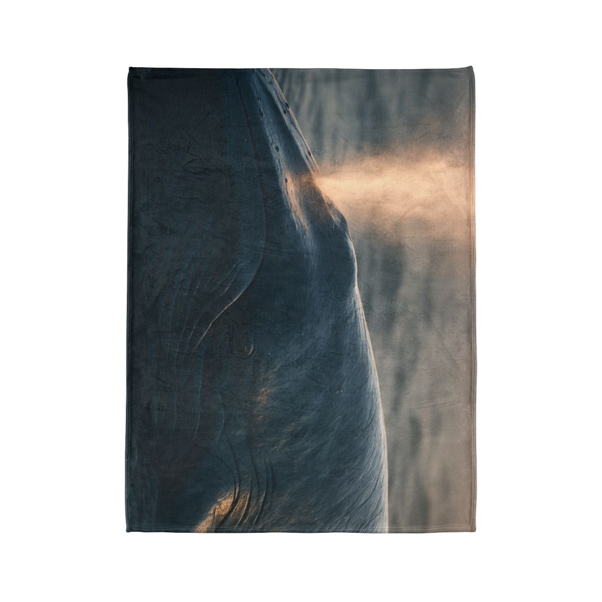 Ocean Song Blue Whale unique gift blankets
