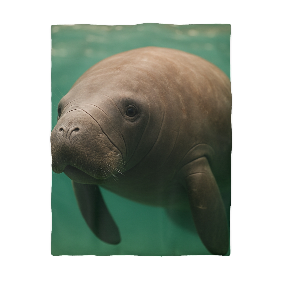 Glasswater Drifter West Indian Manatee unique patterned duvets