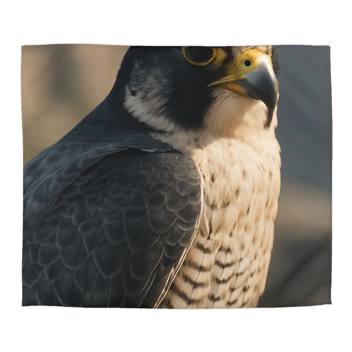 Velocity Vow Peregrine Falcon warm winter duvets