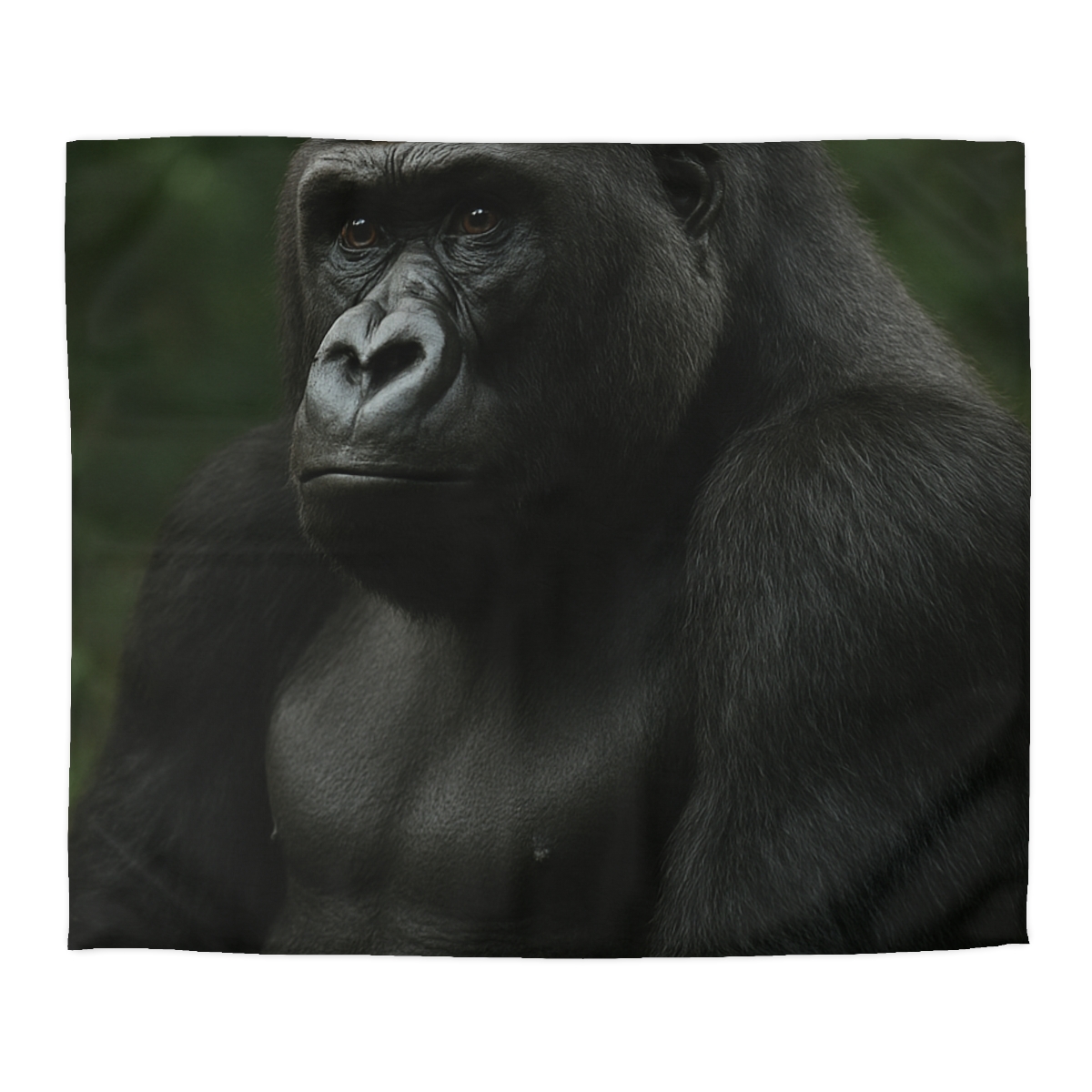 Silent Guardian Mountain Gorilla soft comforter duvets