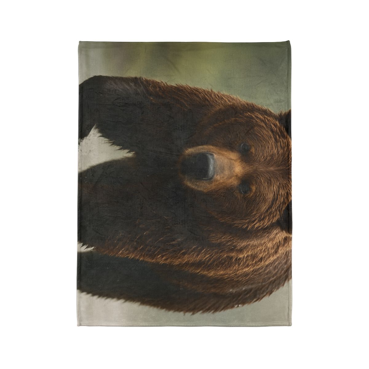 River King Grizzly Bear warm winter blankets
