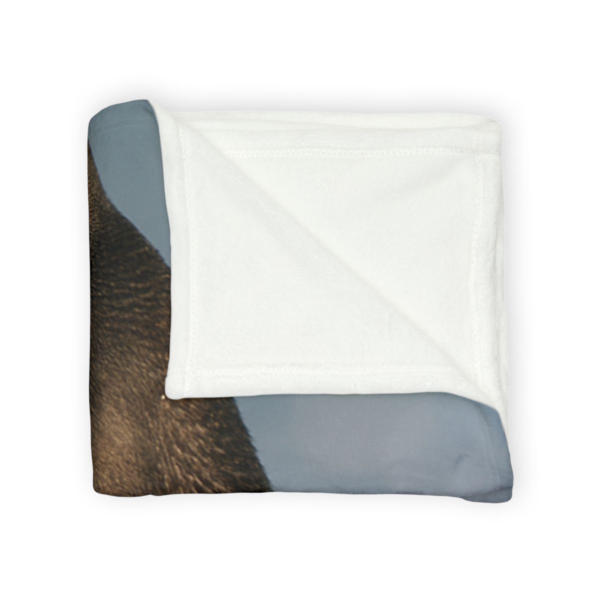 Aurora Drift Emperor Penguin stylish throw blankets