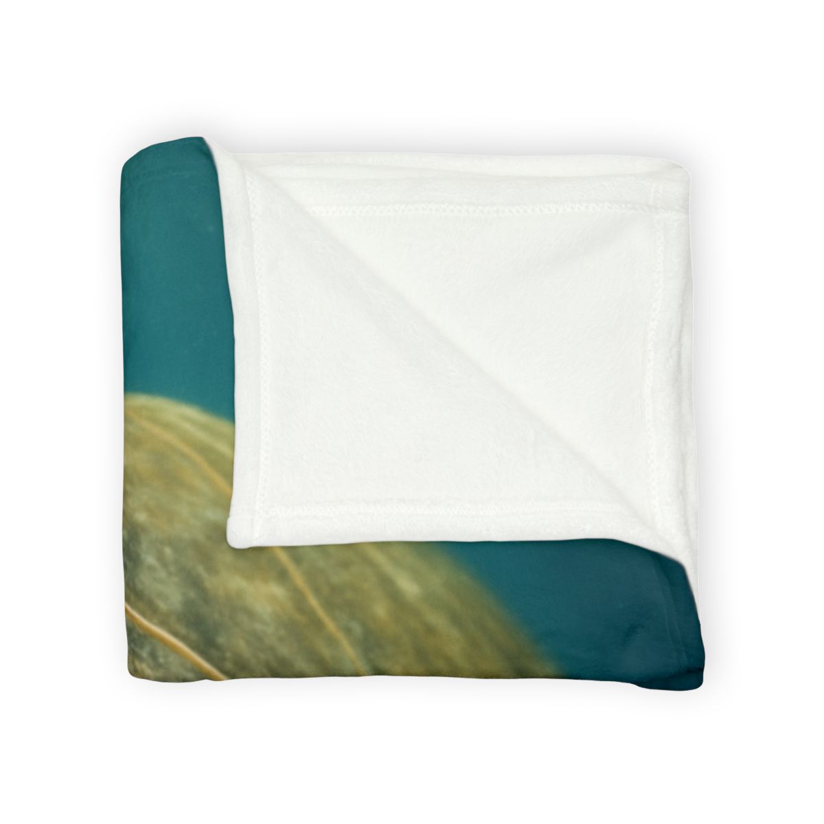 Glasswater Drift Green Sea Turtle warm winter blankets