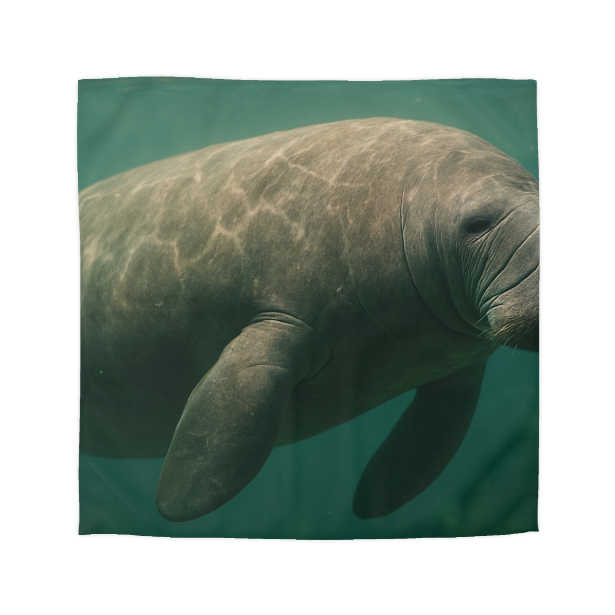 Quiet Drift West Indian Manatee custom duvets