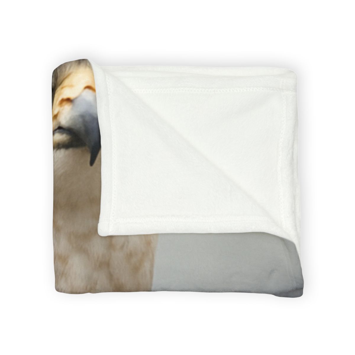 Starlit Focus Peregrine Falcon soft fleece blankets