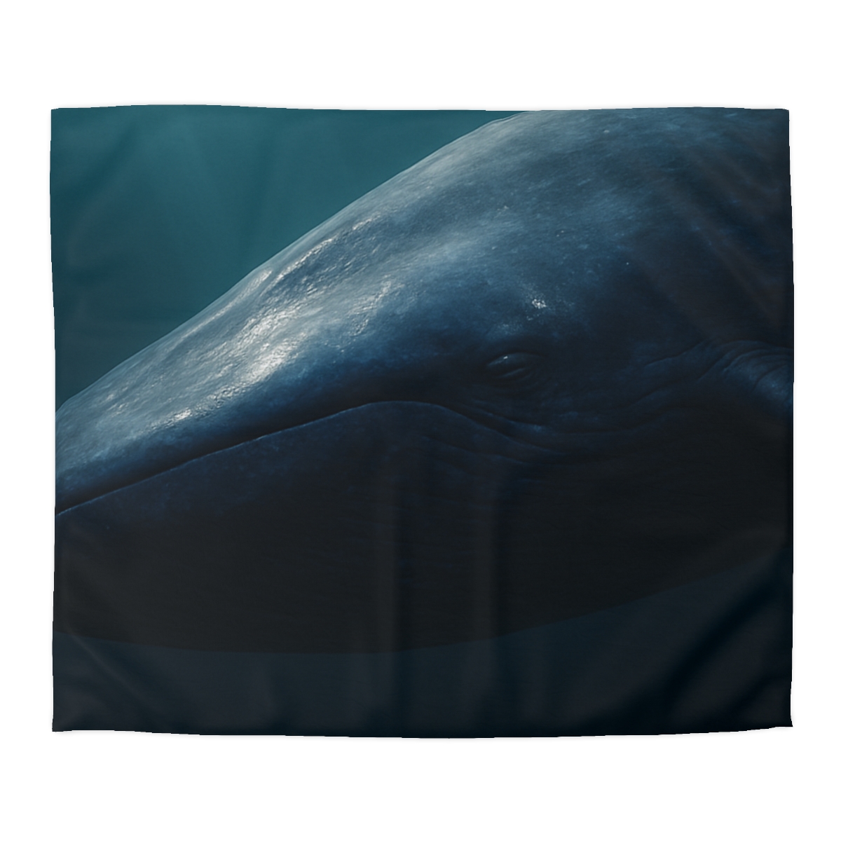 Ocean Song Blue Whale soft comforter duvets