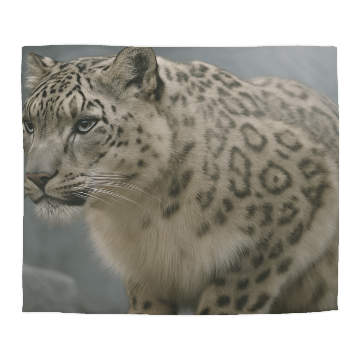 Silent Ridge Snow Leopard designer printed duvets