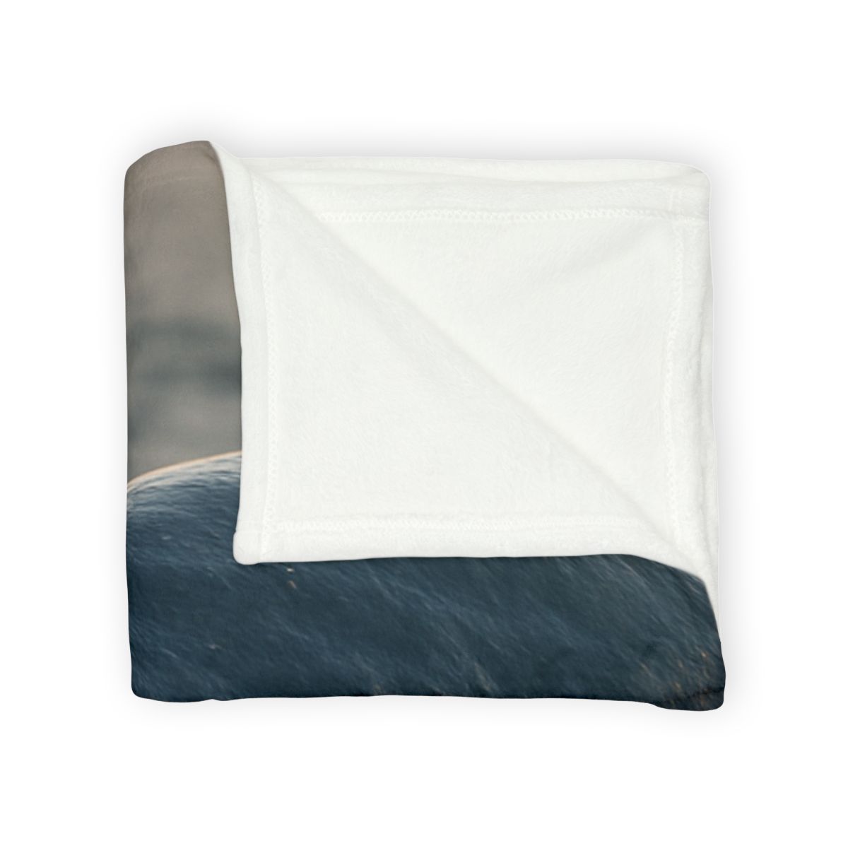 Ocean Song Blue Whale unique gift blankets