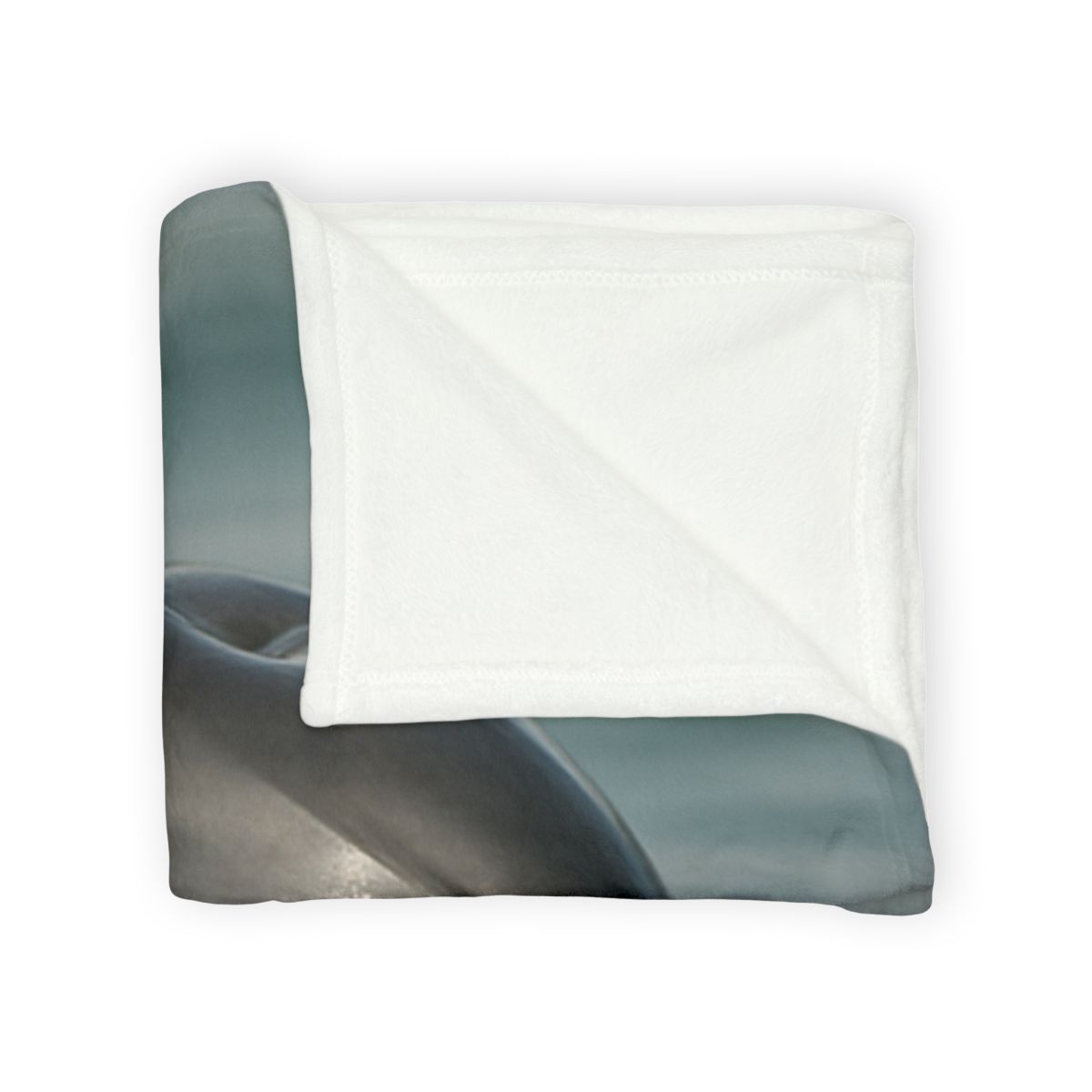 Mirror Calm Bottlenose Dolphin designer printed blankets