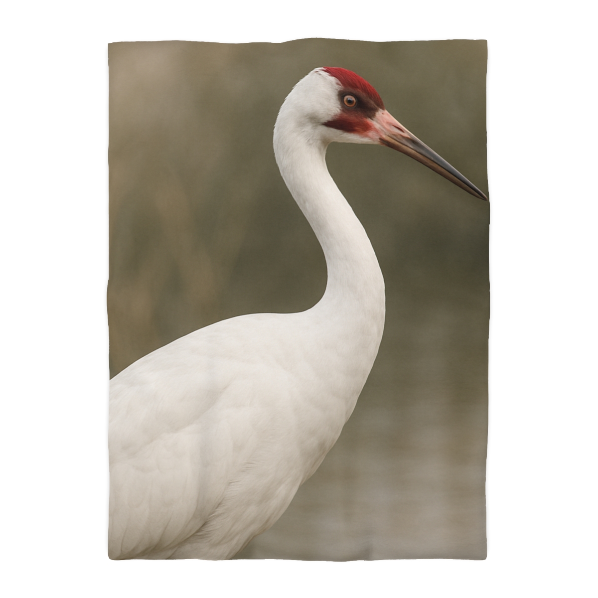 Silver Poise Whooping Crane trendy bedroom duvets