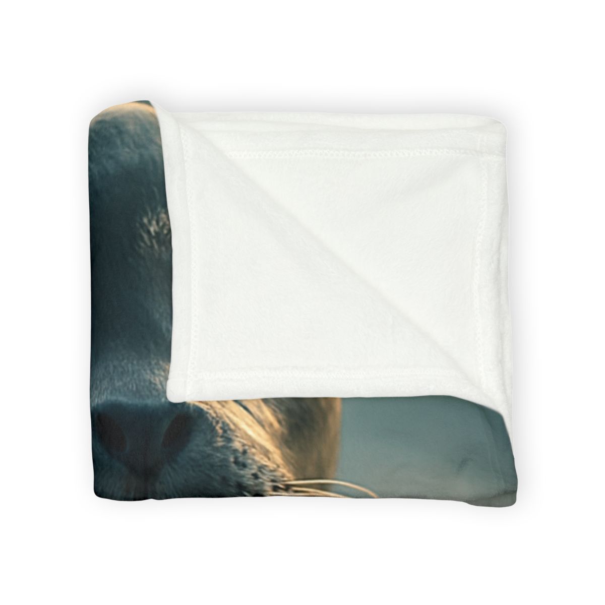 Luminous Gaze Harbor Seal stylish throw blankets