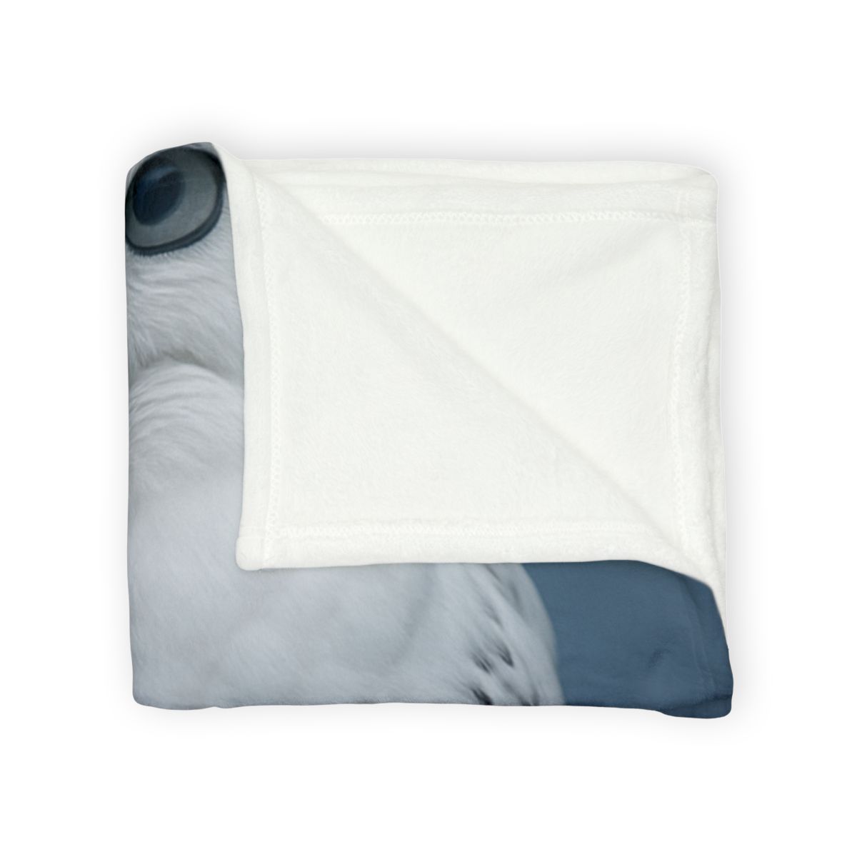 Midnight Watch Snowy Owl stylish throw blankets